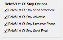 Relief/Lift Of Stay Options Field Group on the Bankruptcy Options Screen