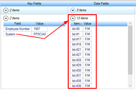 ssrs_keyfields