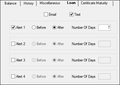  Loan Tab