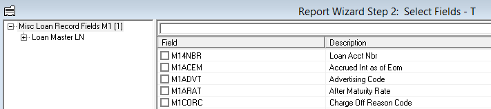 MiscLoanRecordFieldsM1GW