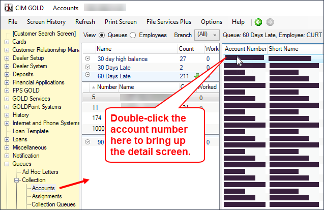 Figure 1: Queues > Collection > Accounts Screen