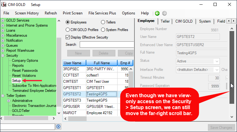 Security > Setup Screen in CIM GOLD